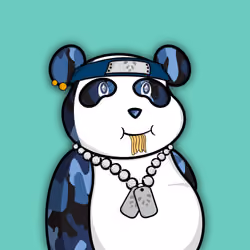 Posh Pandas #911