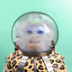 340282366920938463463374607431768211806