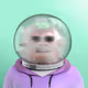 340282366920938463463374607431768214349