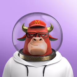 Astro Bull 4158