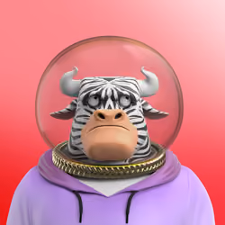 Astro Bull 5378