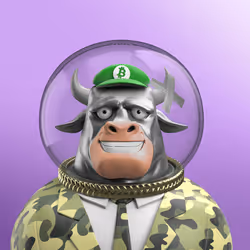 340282366920938463463374607431768218507