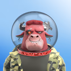 Astro Bull 2479