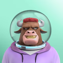 Astro Bull 3