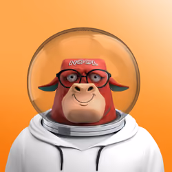 Astro Bull 4
