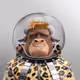 340282366920938463463374607431768217509