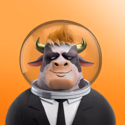 340282366920938463463374607431768217093