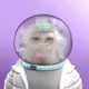 340282366920938463463374607431768214032
