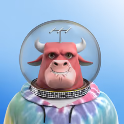 Astro Bull 6346