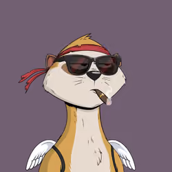 Worried Meerkat #1229