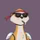Worried Meerkat #1229