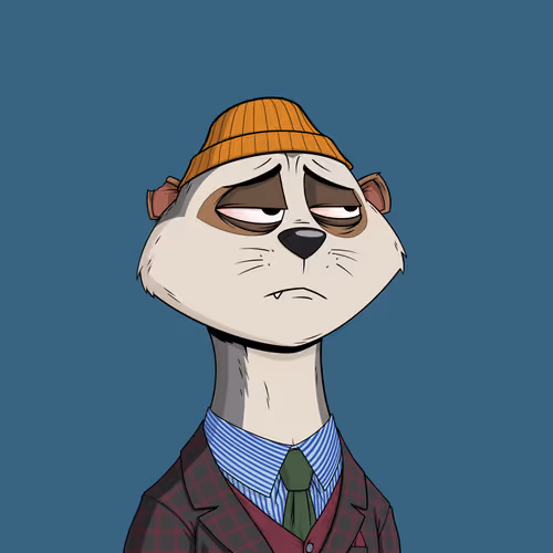 Worried Meerkat #1272