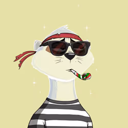 Worried Meerkat #182