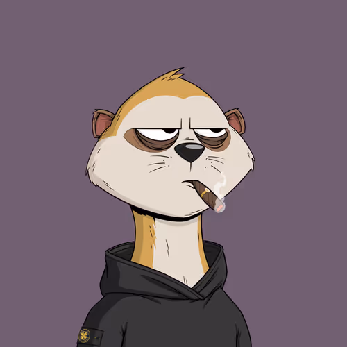 Worried Meerkat #1302