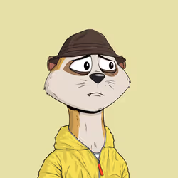 Worried Meerkat #487