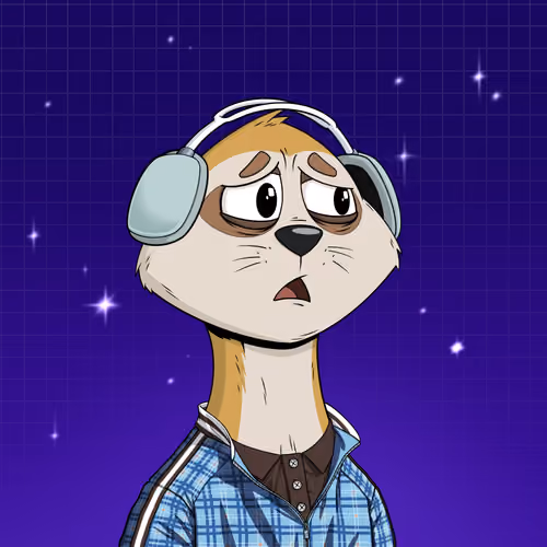 Worried Meerkat #38