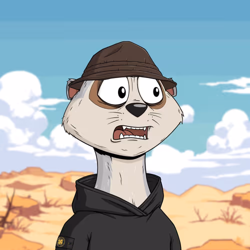 Worried Meerkat #1297