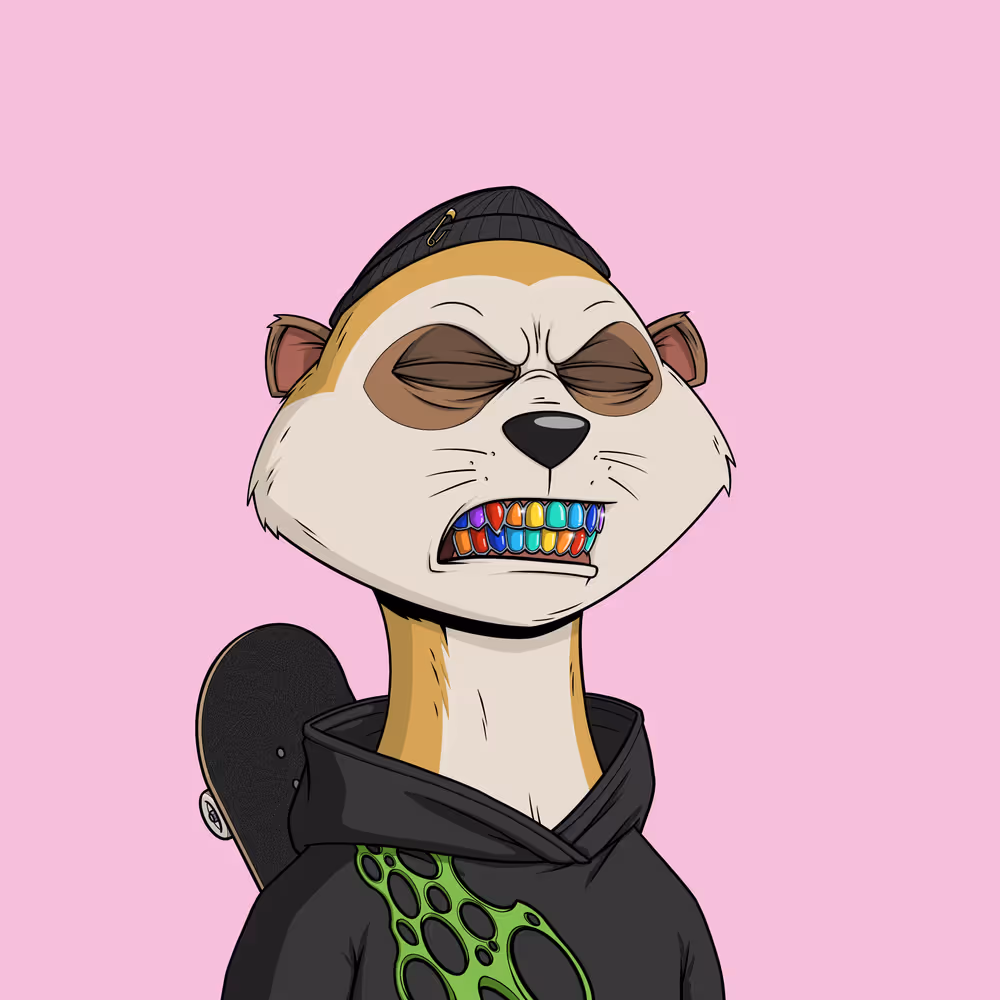 Worried Meerkat #1278