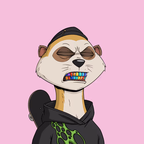 Worried Meerkat #1278