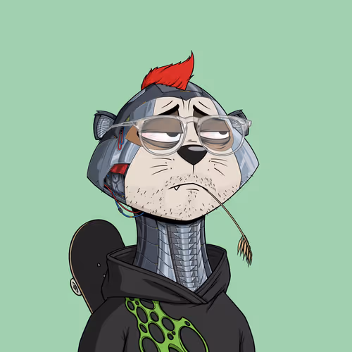 Worried Meerkat #1271