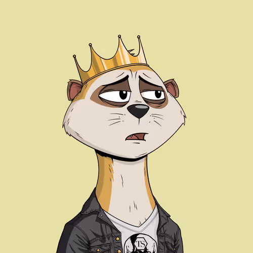 Worried Meerkat #989
