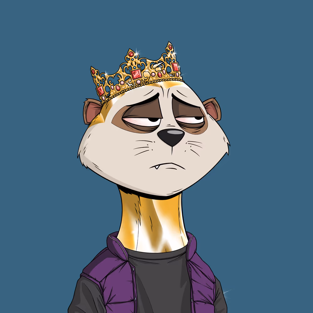 Worried Meerkats