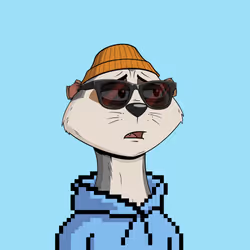 Worried Meerkat #1286
