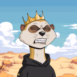 Worried Meerkat #372