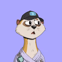Worried Meerkat #200