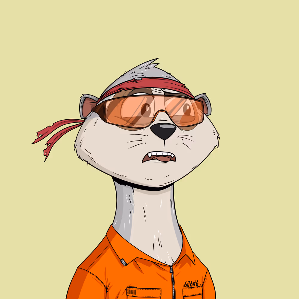 Worried Meerkat #1274