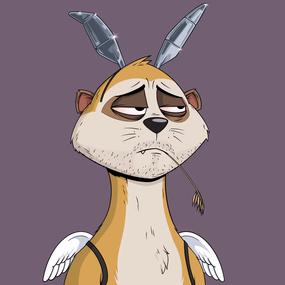 Worried Meerkat #1309