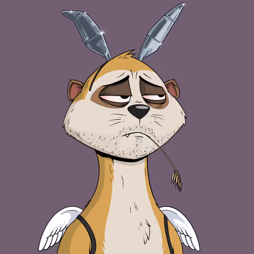 Worried Meerkat #1309