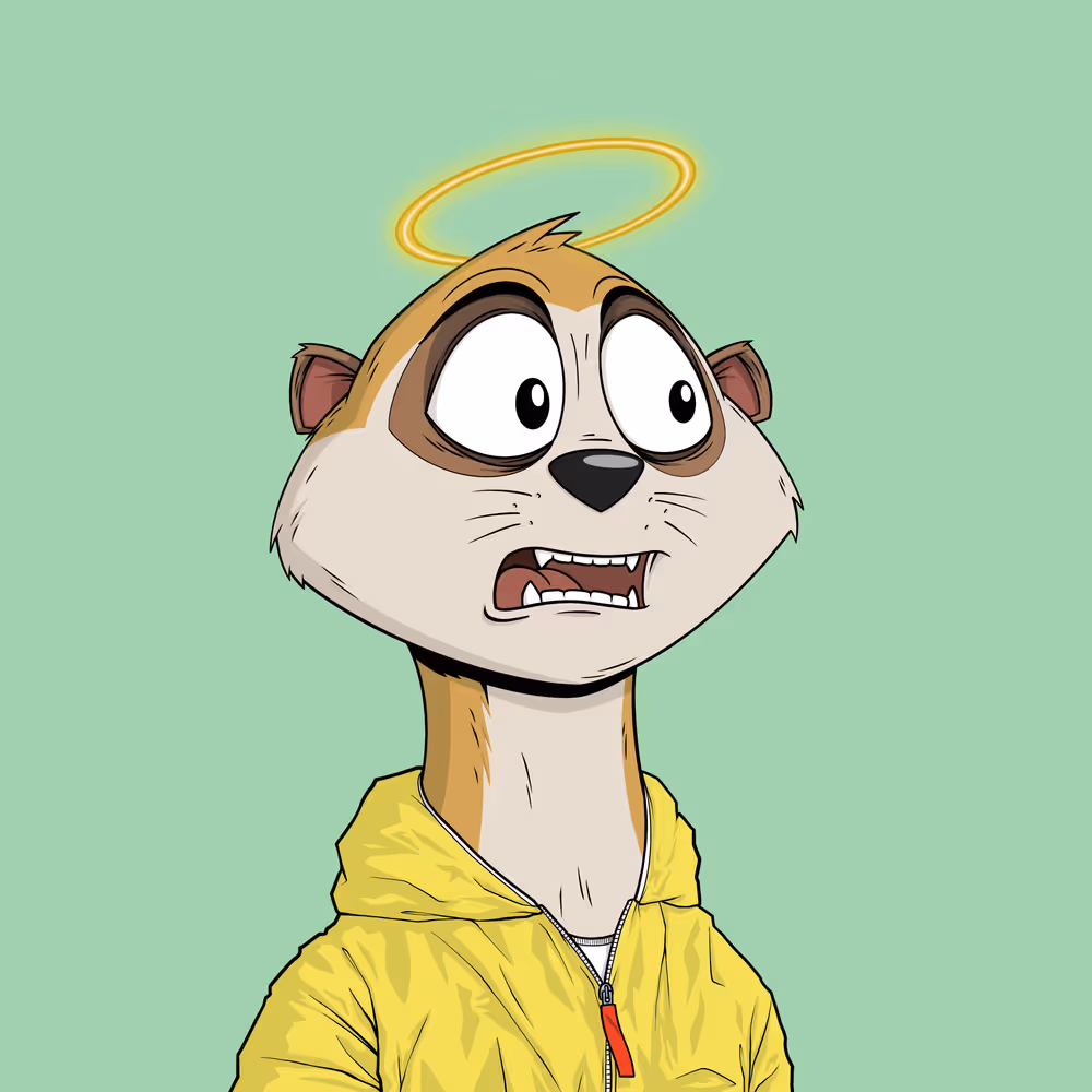 Worried Meerkat #1279