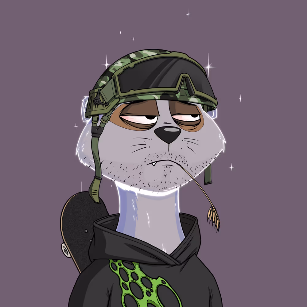 Worried Meerkat #1300