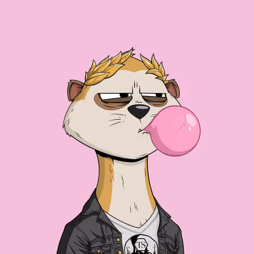 Worried Meerkat #1307
