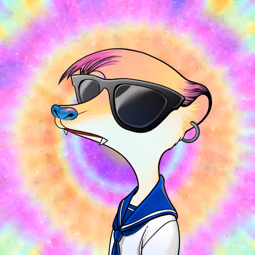 Galaxy Kats Universe