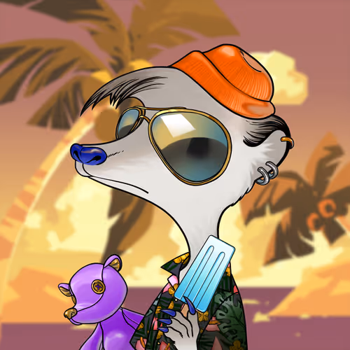 Galaxy Kats Universe