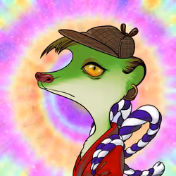 GalaXY Kats #6381