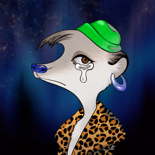 Galaxy Kats Universe