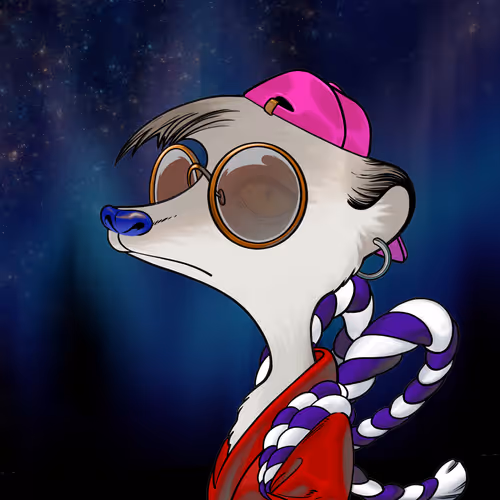 Galaxy Kats Universe