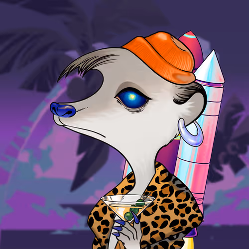 Galaxy Kats Universe