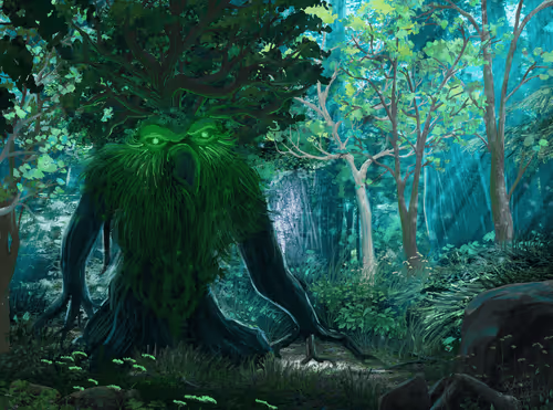 Evergreen 33/50
