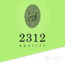 591