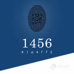 516