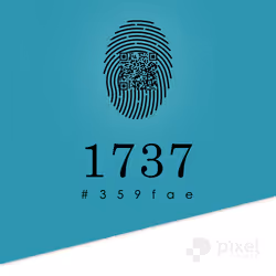 338