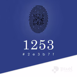 PXCL 1253