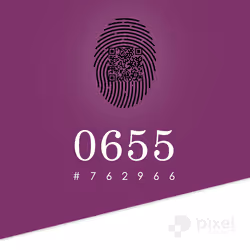 658
