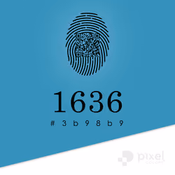 PXCL 1636