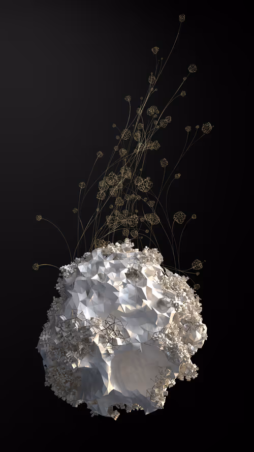 Item #50300080008 Media