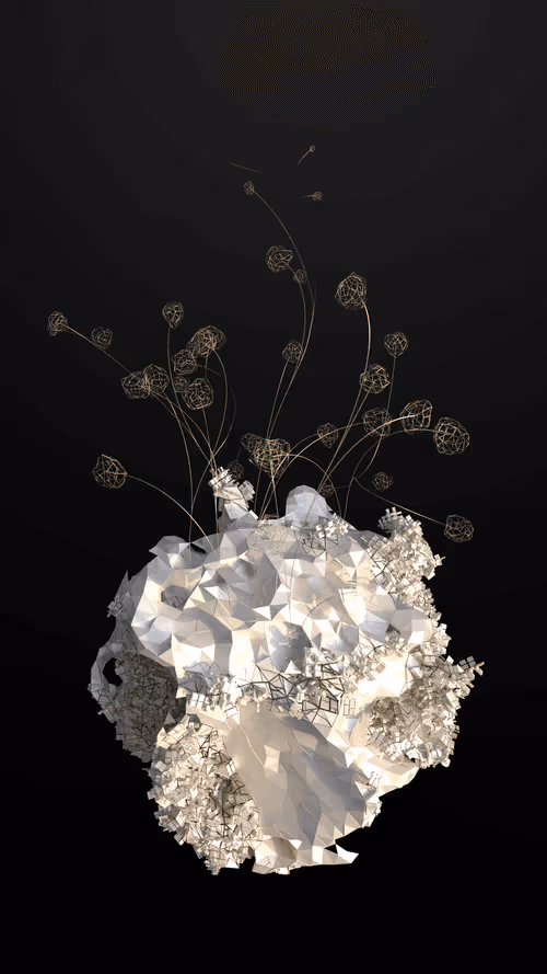 Item #50300010004 Media